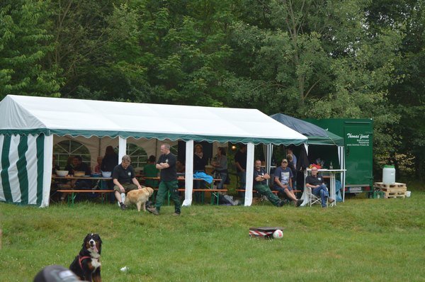 Nasser Fleck 2014 Bilder von Nico