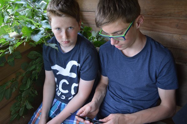 Nasser Fleck 2014 Bilder von Nico