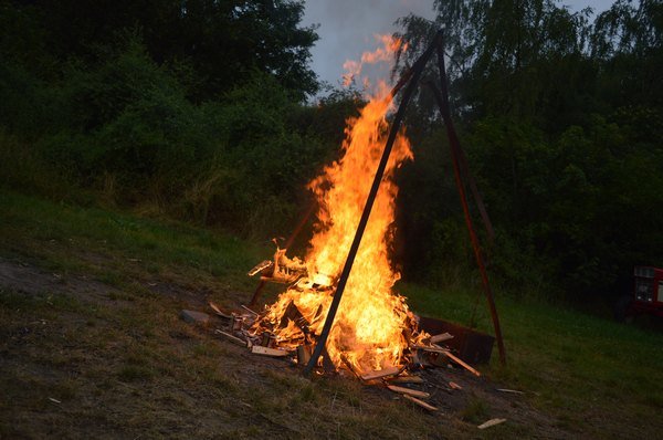 Nasser Fleck 2014 Bilder von Nico