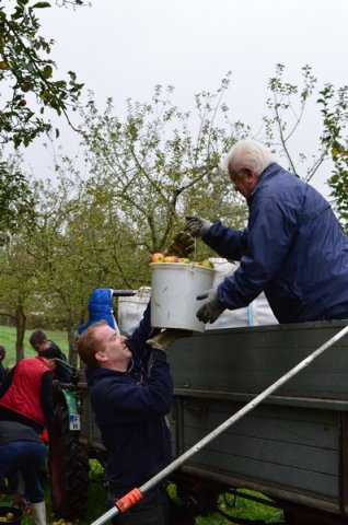 Vom Apfel zum Saft 2014