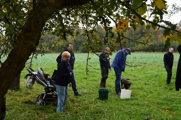 Vom Apfel zum Saft 2014