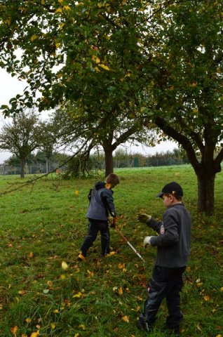 Vom Apfel zum Saft 2014