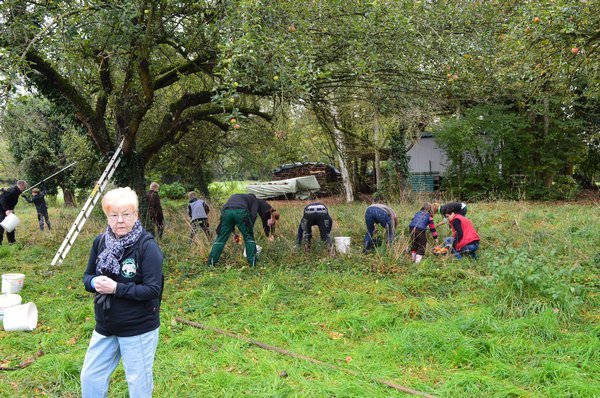 Vom Apfel zum Saft 2014
