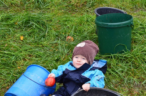 Vom Apfel zum Saft 2014