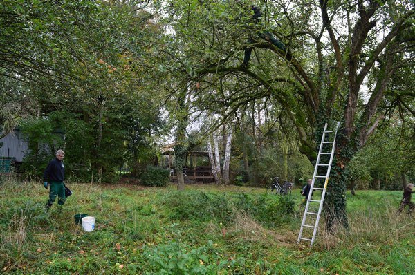 Vom Apfel zum Saft 2014