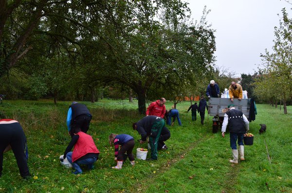 Vom Apfel zum Saft 2014