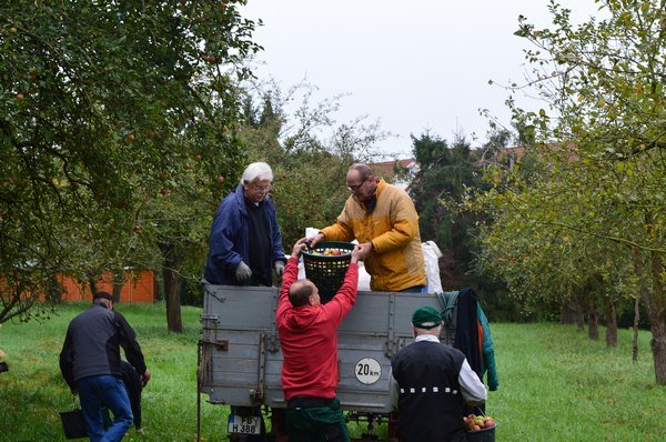 Vom Apfel zum Saft 2014