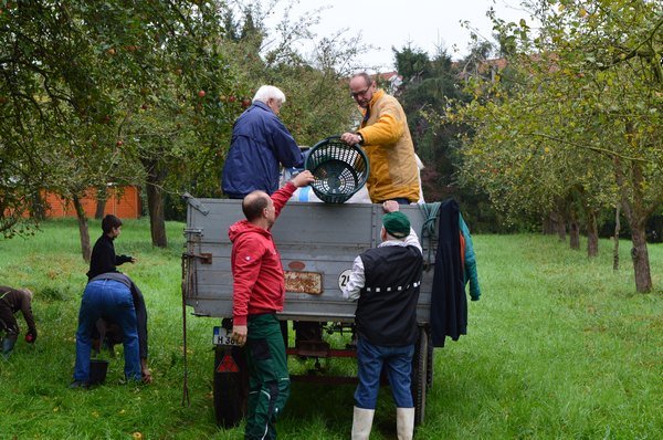 Vom Apfel zum Saft 2014