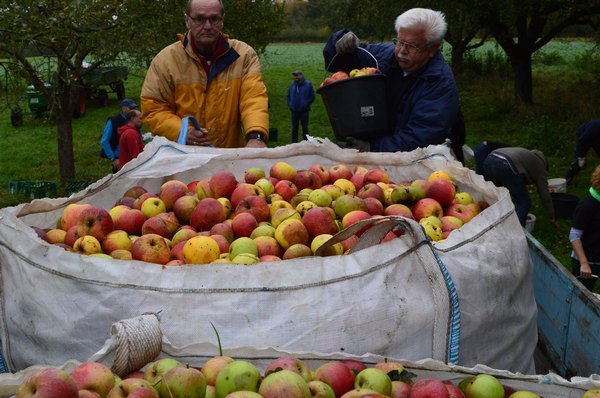 Vom Apfel zum Saft 2014