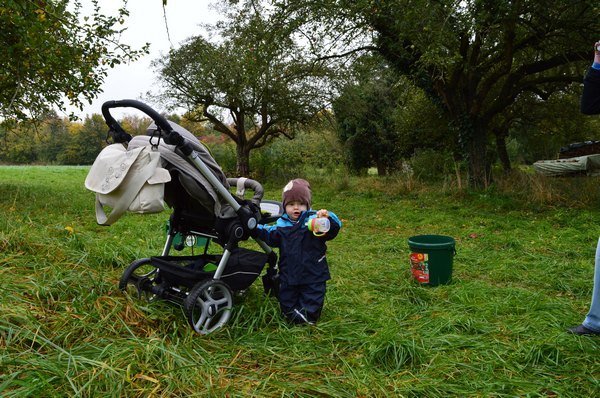 Vom Apfel zum Saft 2014