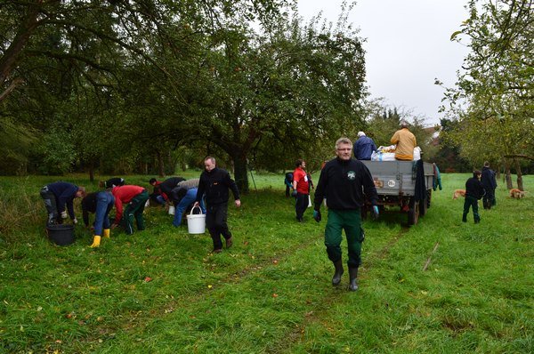 Vom Apfel zum Saft 2014