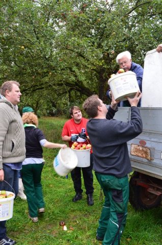 Vom Apfel zum Saft 2014