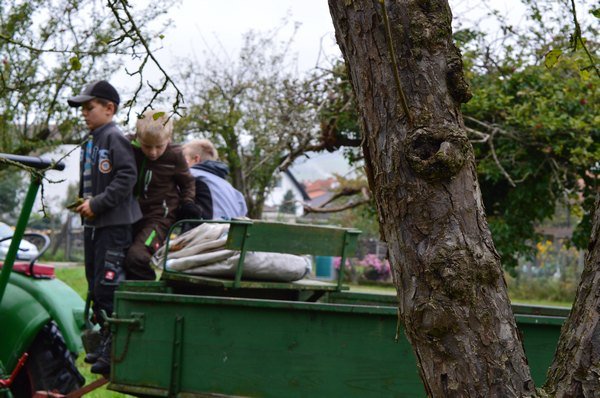 Vom Apfel zum Saft 2014