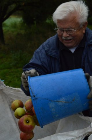 Vom Apfel zum Saft 2014