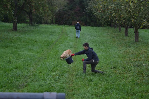 Vom Apfel zum Saft 2014