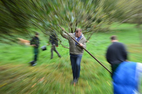 Vom Apfel zum Saft 2014